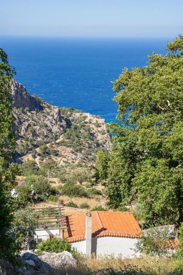 Mertonas Villa Kyra Panagia Eksteriør bilde